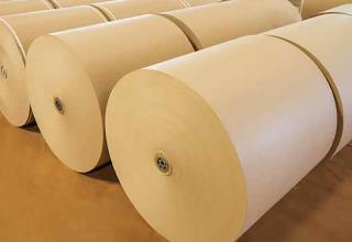 Opening of Birch Papyrus Cellulose Industries Website